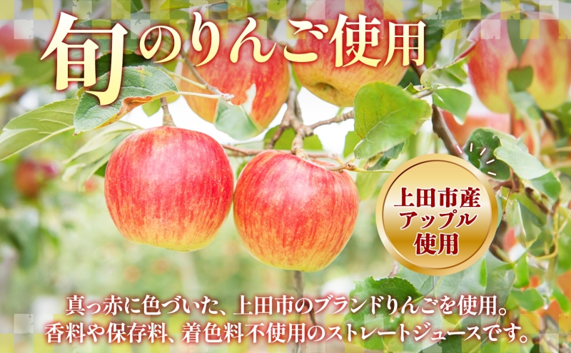 無地熨斗 長野県 真田 RED アップル ジュース 瓶 1000ml 1本 飲料 果汁 100% フルーツ リンゴ 果物 りんご 林檎 無香料 無着色 ストレート にごり 旬 贅沢 戦国武将 ギフト